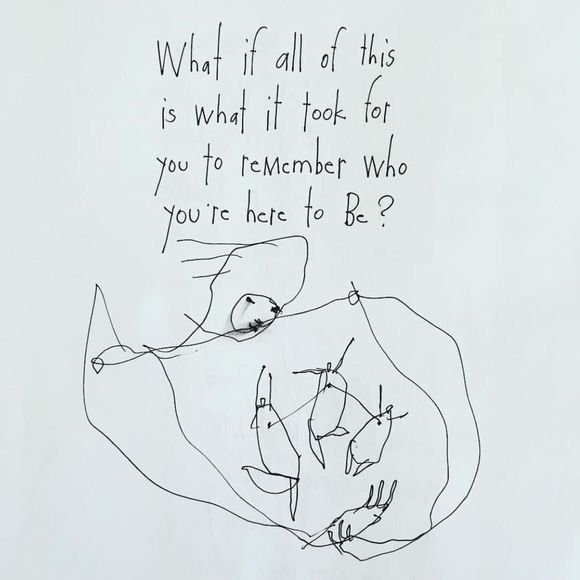 Meet your Posher, Casey - Picture 1 of 1